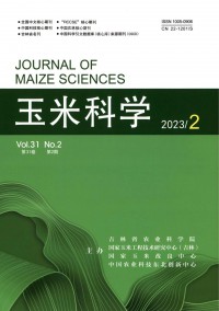 玉米科学